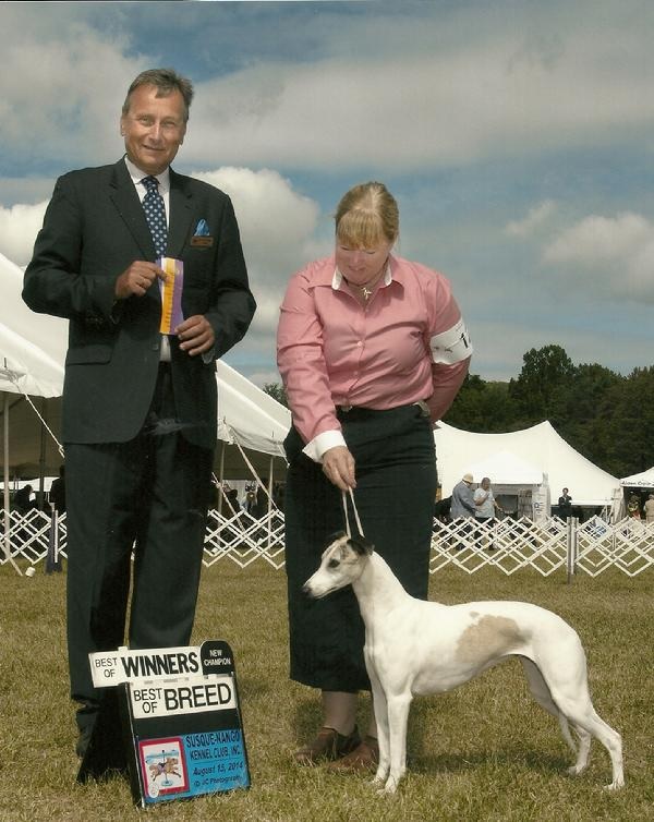 Ch Laurel Chase Justified